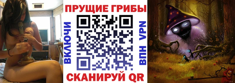 Псилоцибиновые грибы Psilocybe  Корсаков 